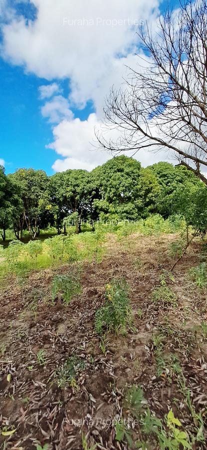 Land at Mtwapa - 12