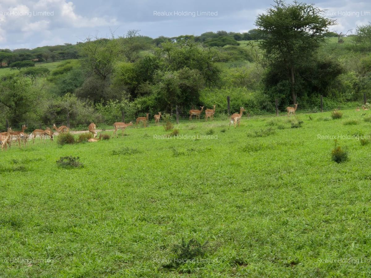 540 ac Commercial Land in Bisil - 14