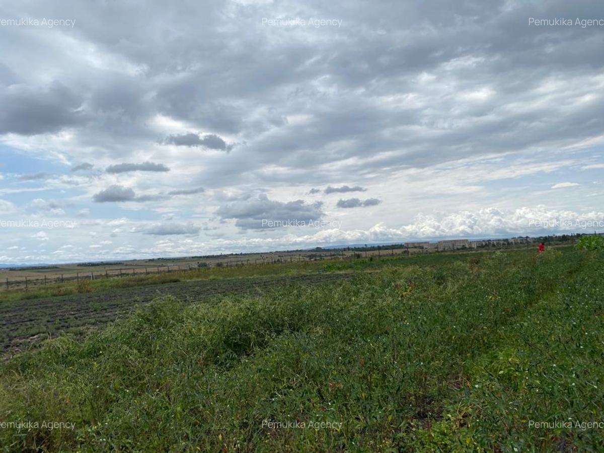 Commercial Land at Kitengera - 4