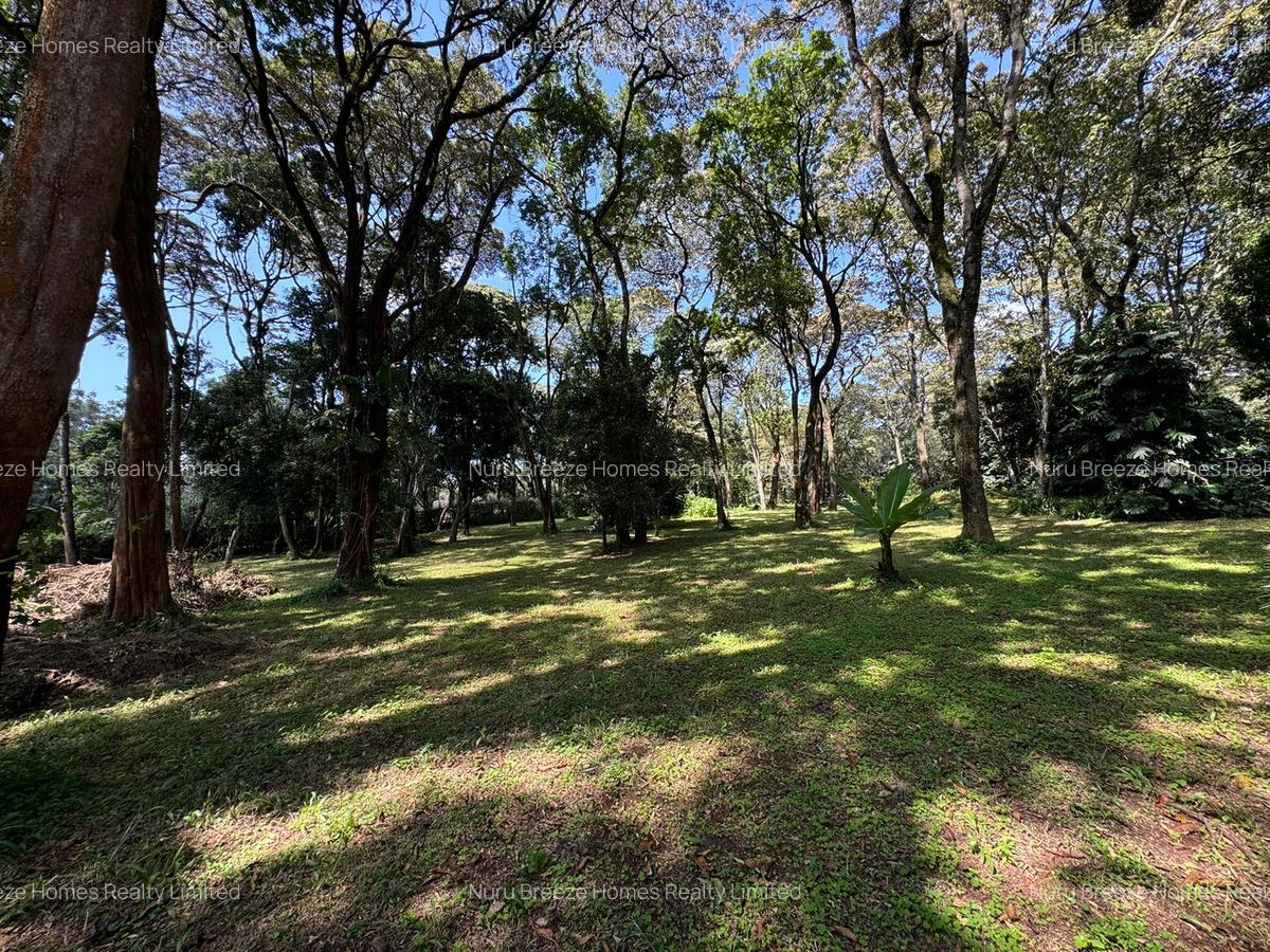 1 ac Land in Karen - 9