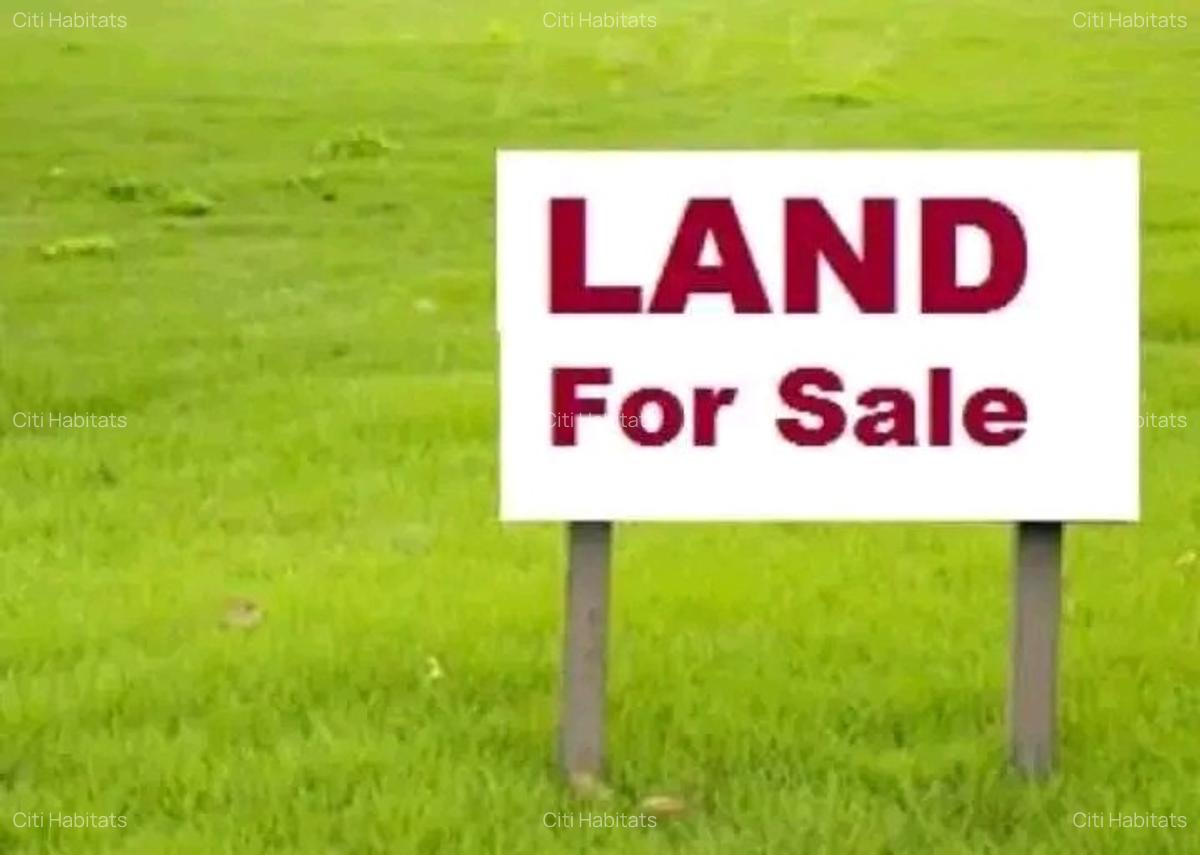 0.25 ac Land in Ruaka - 4