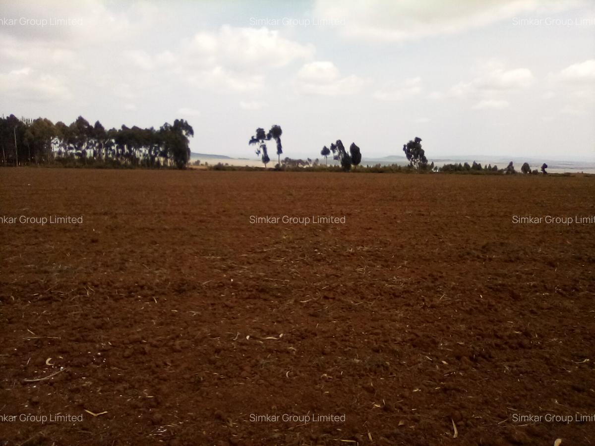 Land at Timau - 8