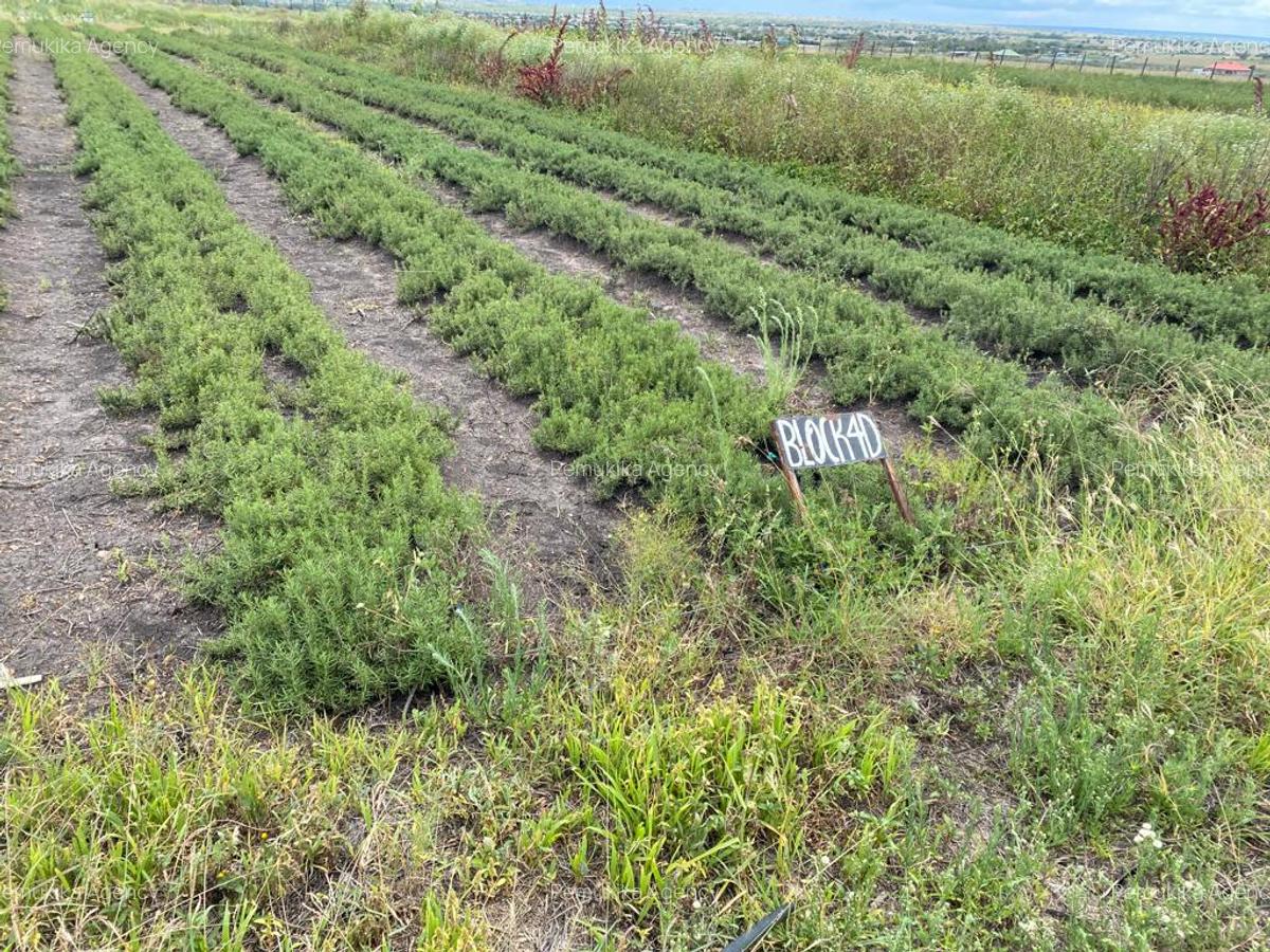 Commercial Land at Kitengera - 3