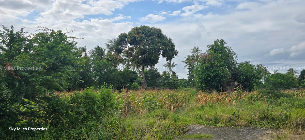 6 ac Land at Bomani - 16