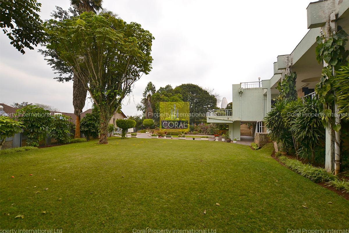 Office with Backup Generator in Lavington - 10