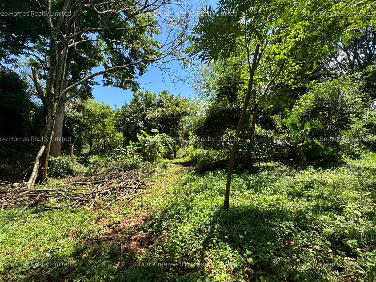 0.5 ac Residential Land in Kitisuru - 5