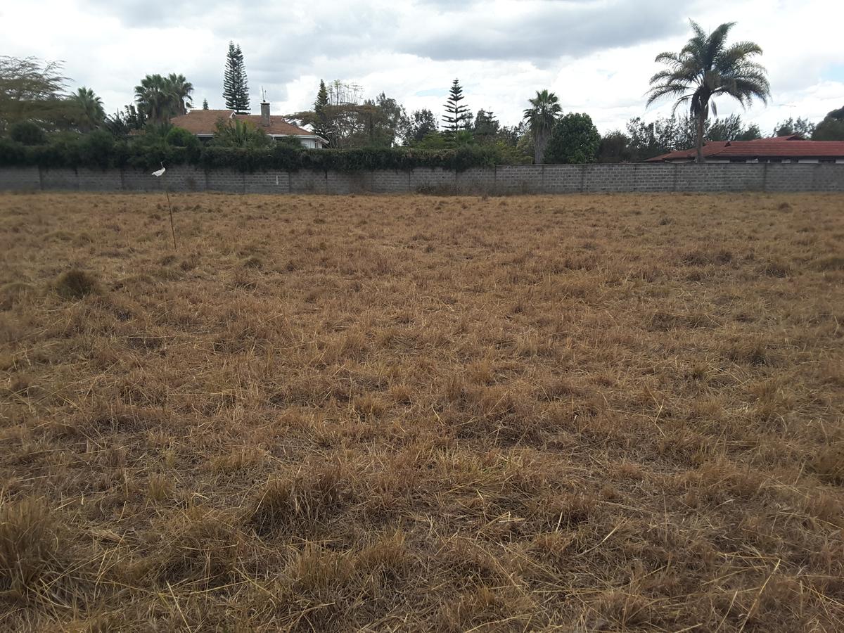 0.5 m² Residential Land in Karen - 2