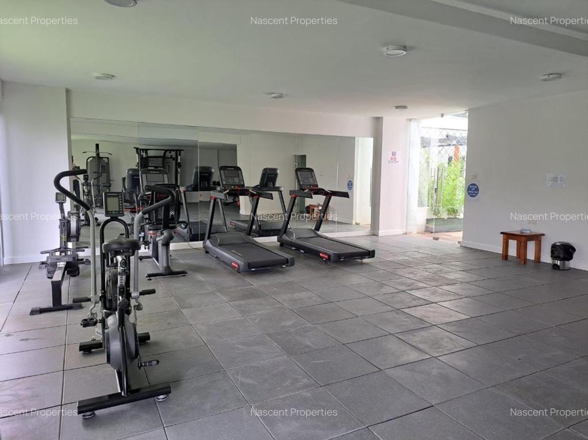 Furnished 1 Bed Apartment with En Suite in Rhapta Road - 3