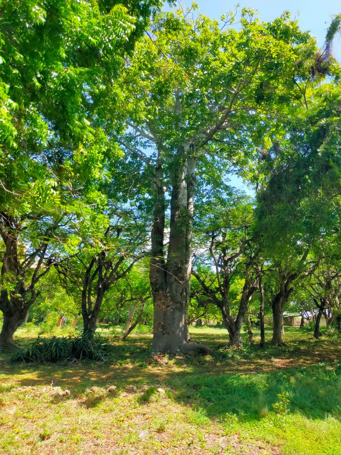 Land in Shanzu - 8
