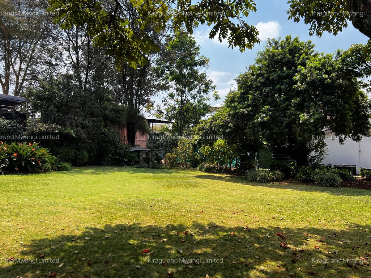 Land at Muchai Road - 1