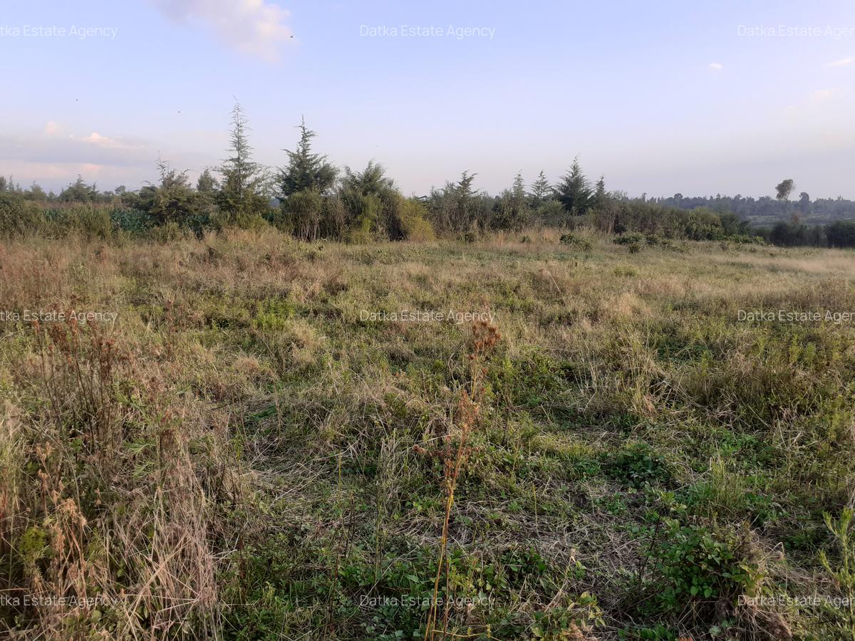 0.5 ac Residential Land in Nanyuki - 2