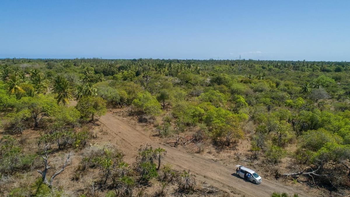 0.25 ac Residential Land at Diani Beach Road - 11