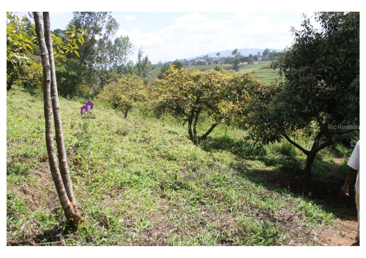 3.5 ac Land at Karinde Road - 5