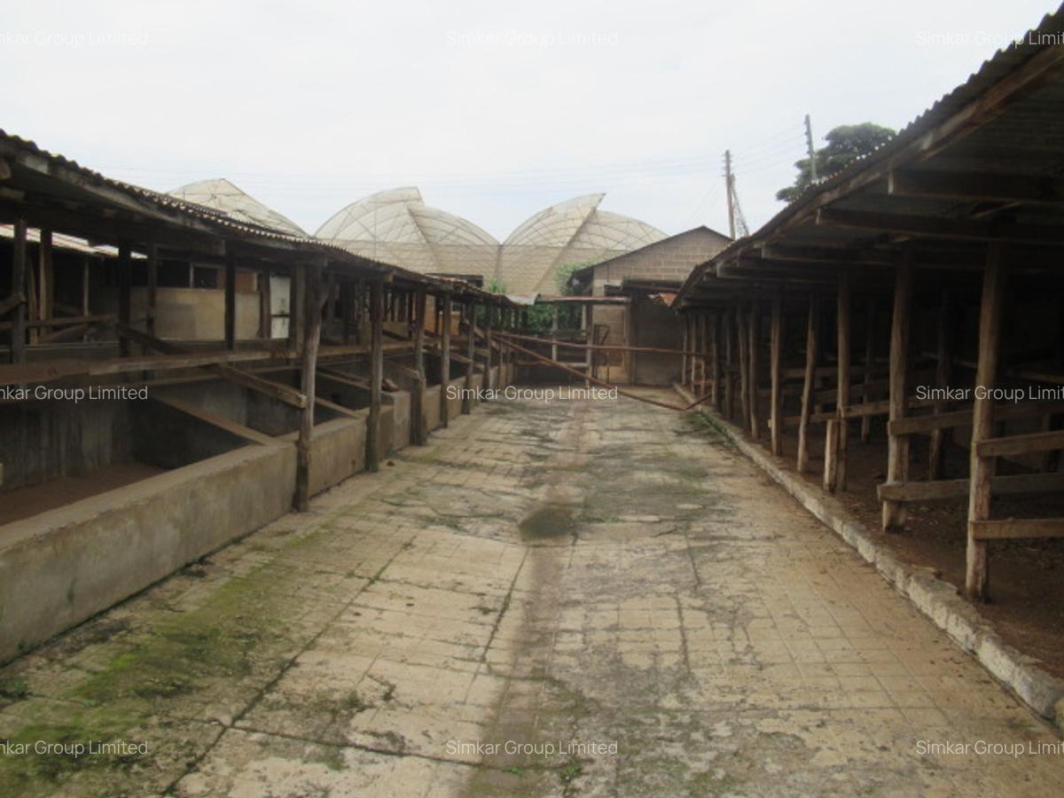 Land at Red Hill - 1