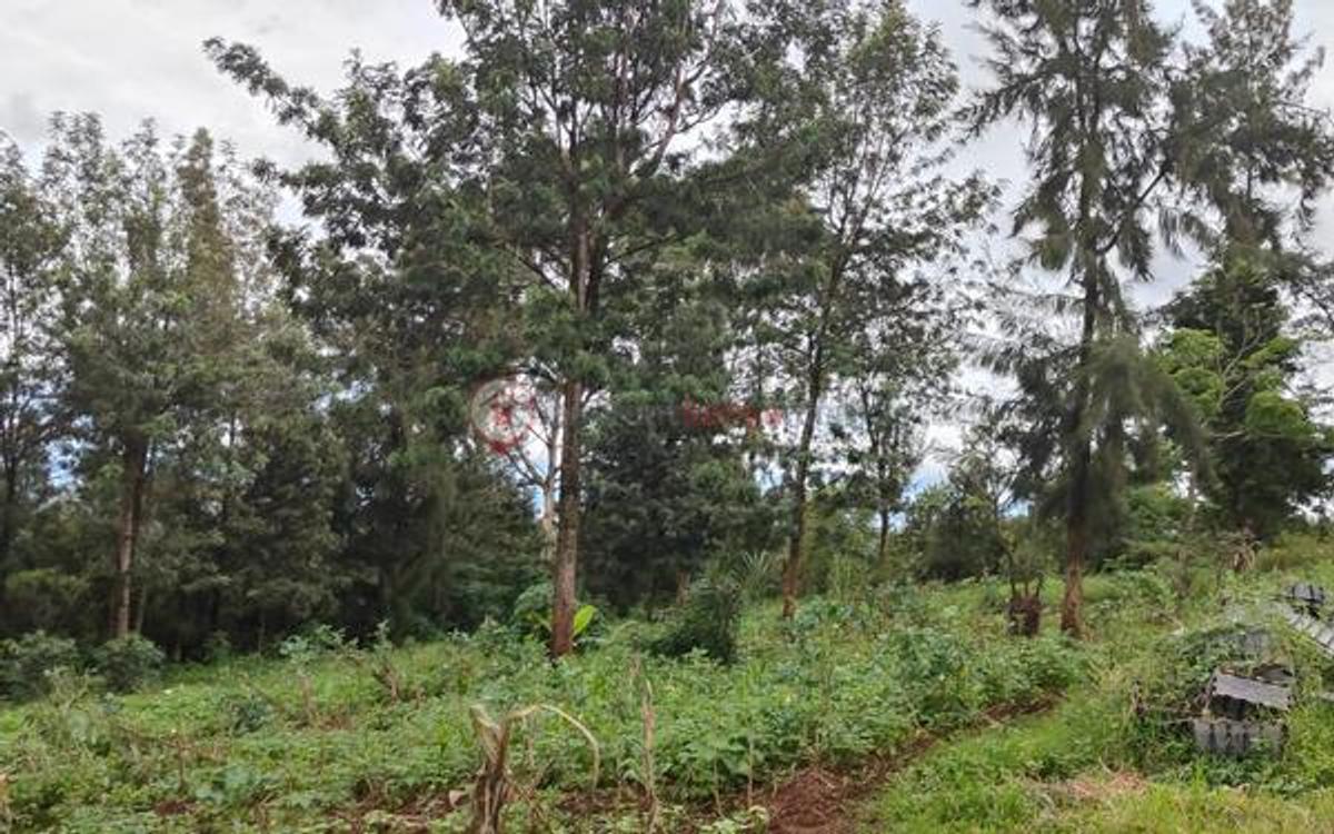 Land at Ngong - 16