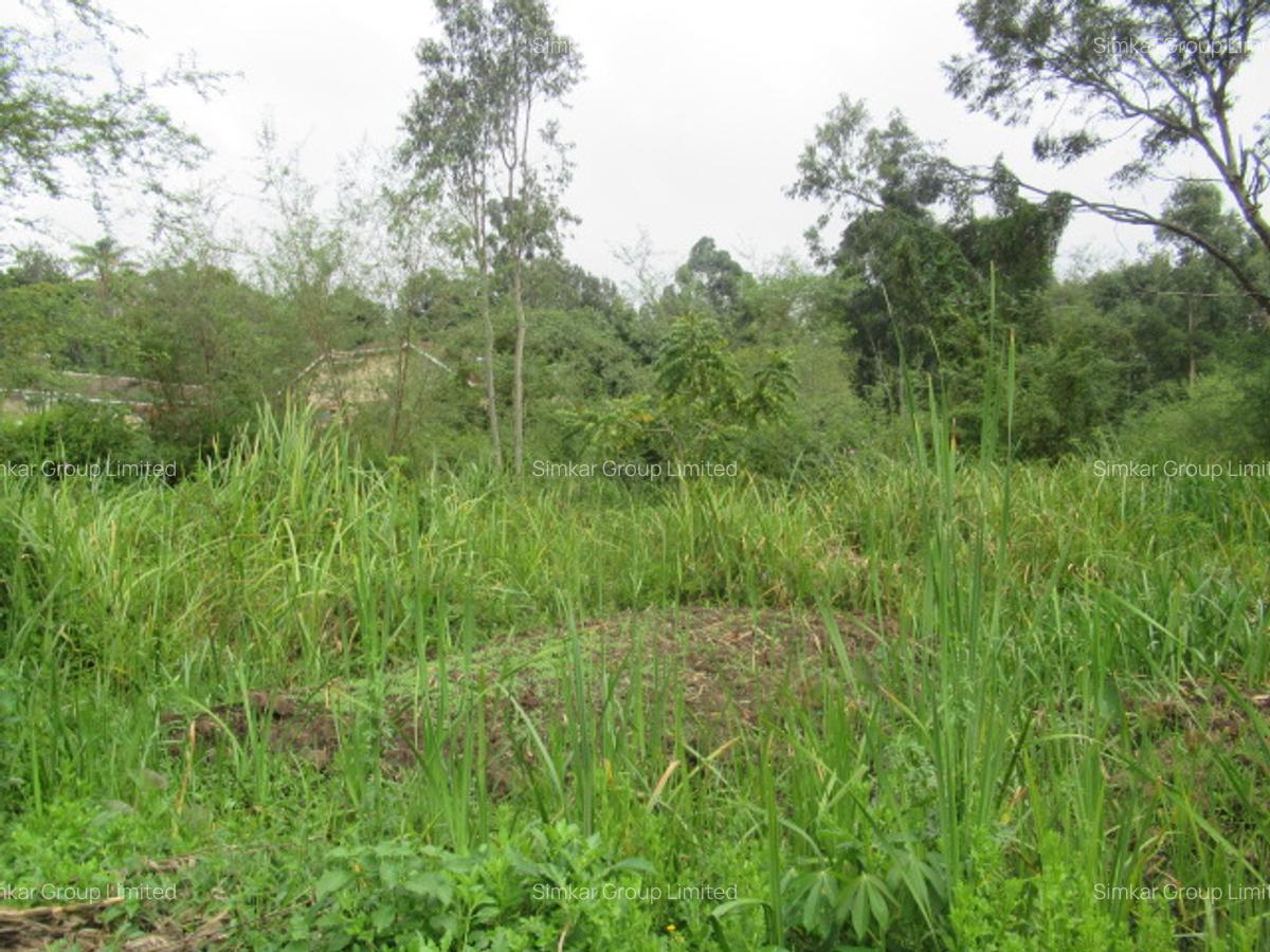Residential Land at Ridgeways Ln - 2