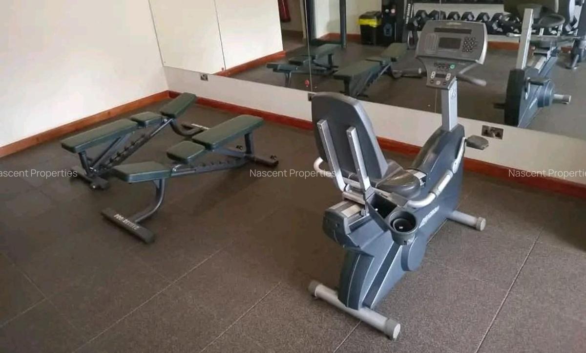 Furnished 2 Bed Apartment with En Suite in Kitisuru - 6