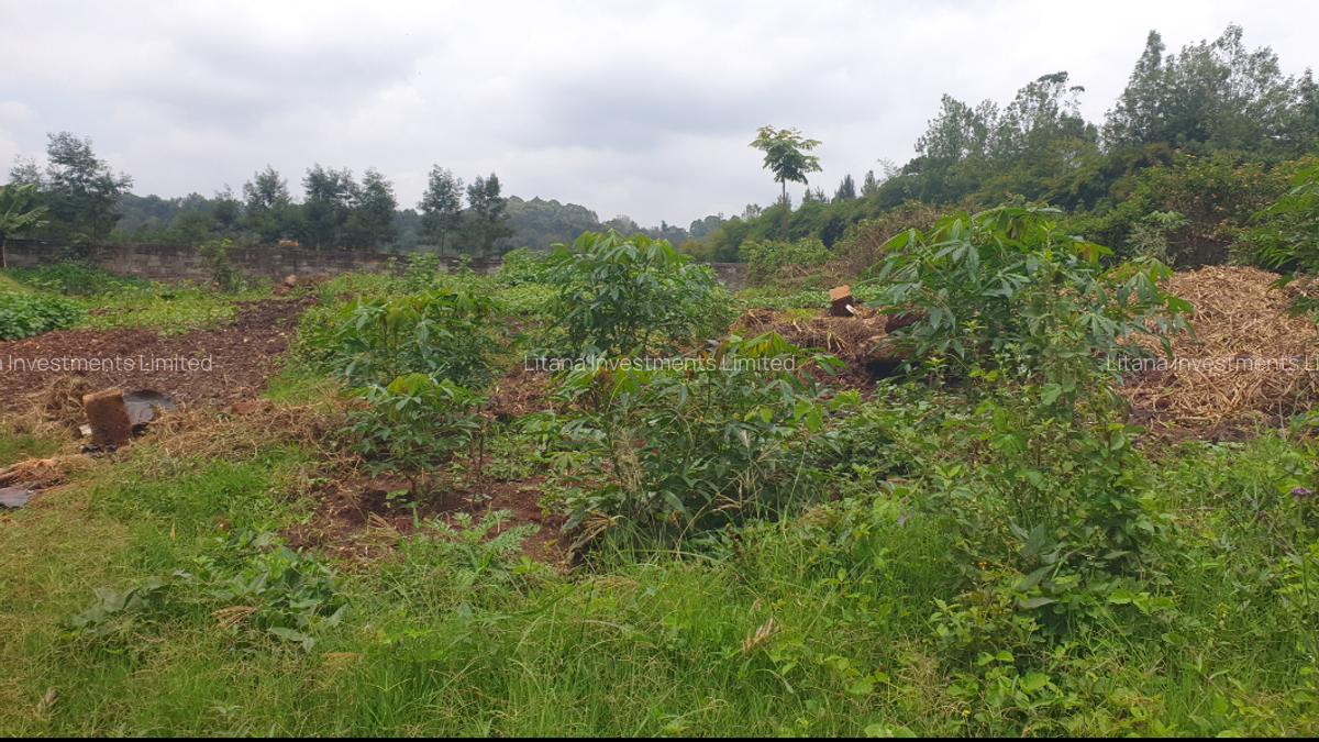 0.5 ac Land at Loresho - 2