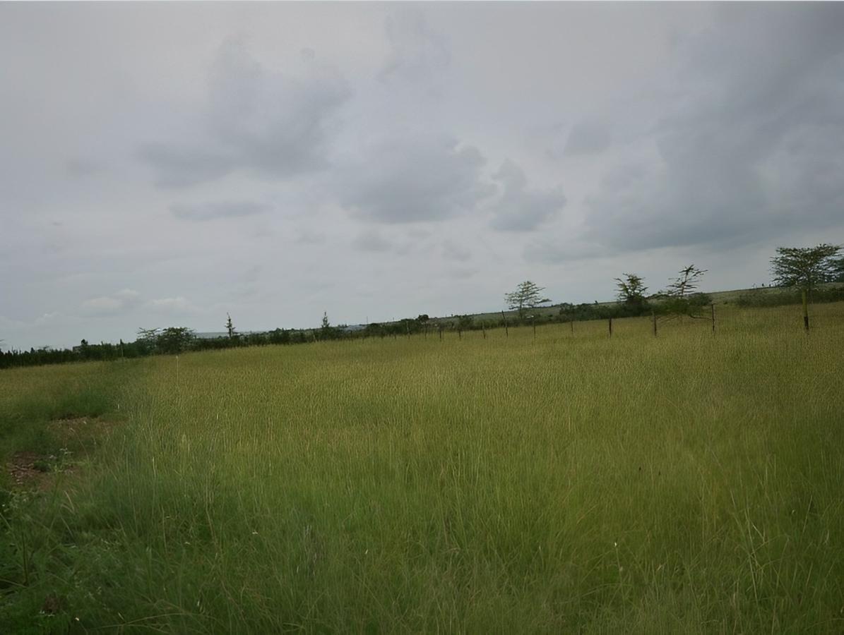 0.05 ha Land at Batian View Estate - 2