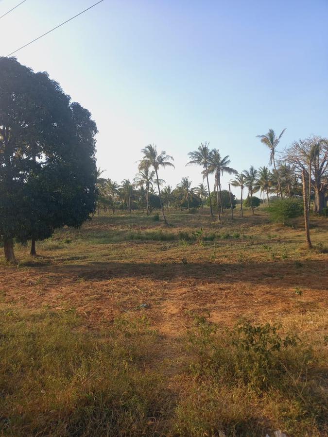 Land at Mavueni Kaloleni Road - 5