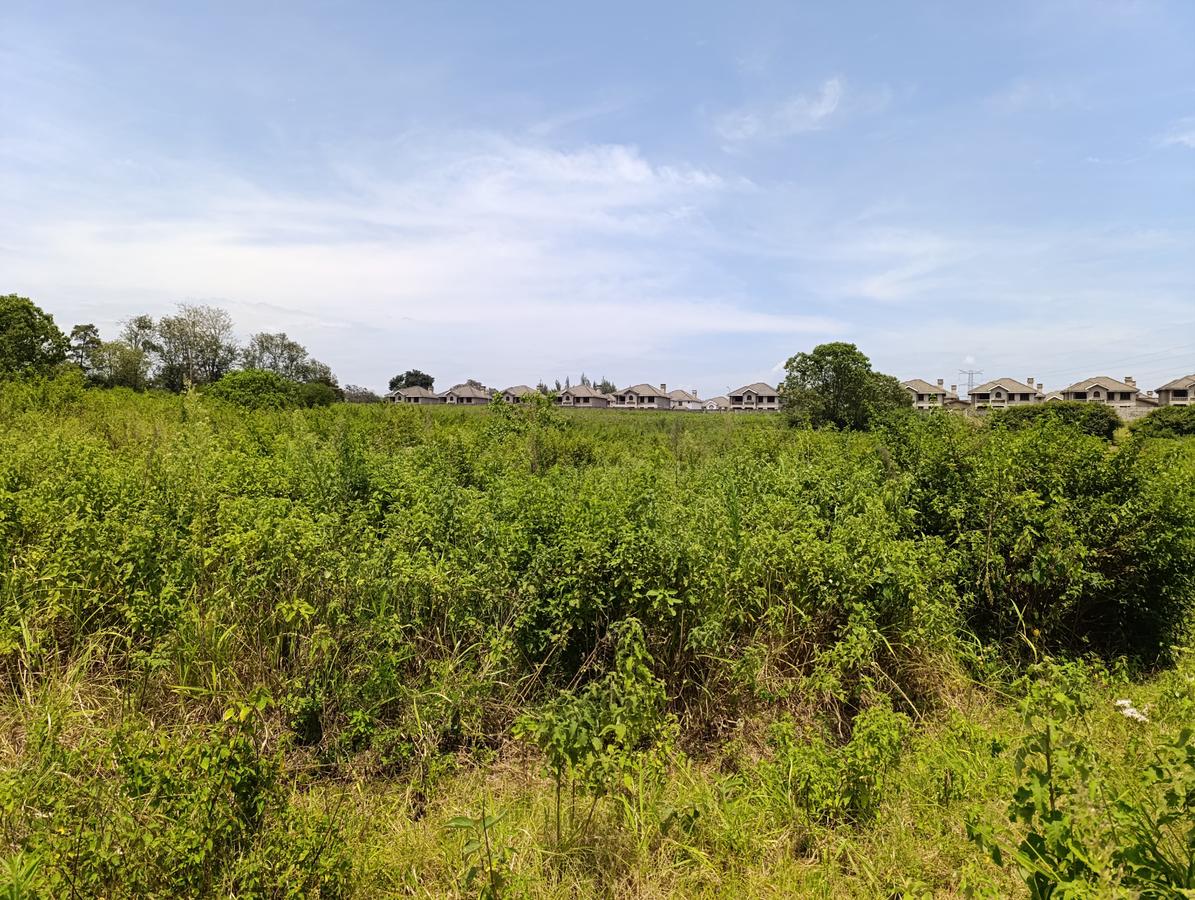 0.125 ac Residential Land at Kiambu - Kamiti Road - 1