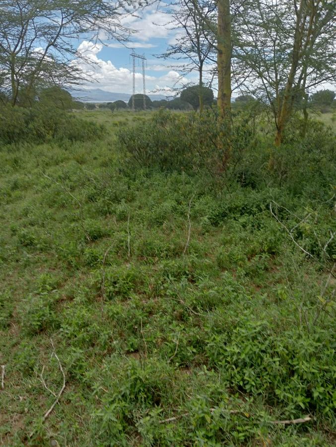 0.25 ac Commercial Land at Lake View - 11