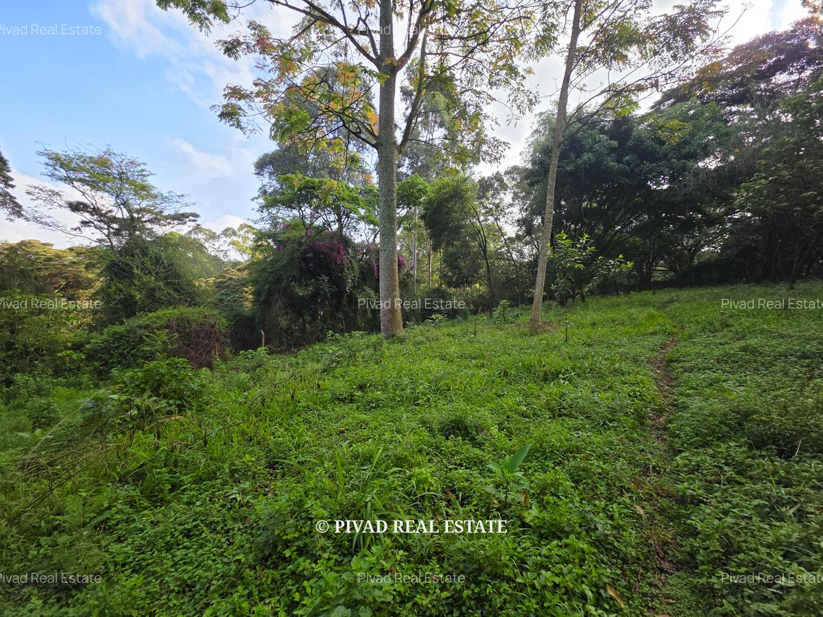 4.8 ac Land in Lower Kabete - 7