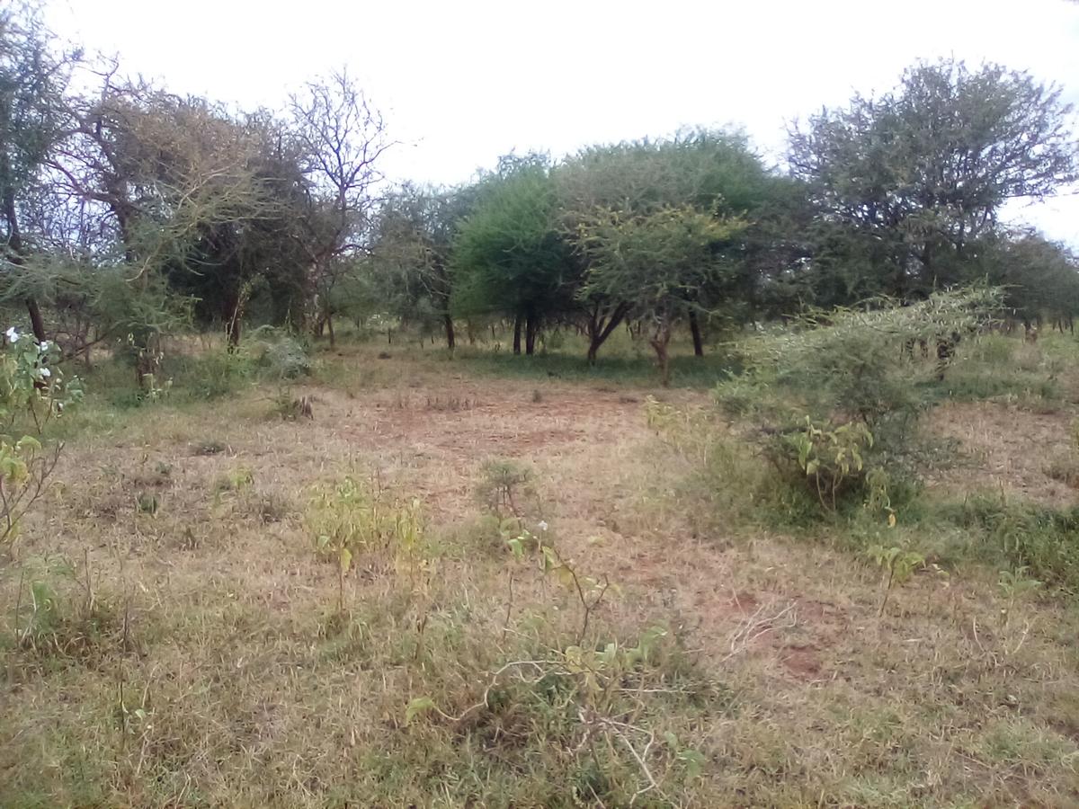 Land at Namanga Rd - 10