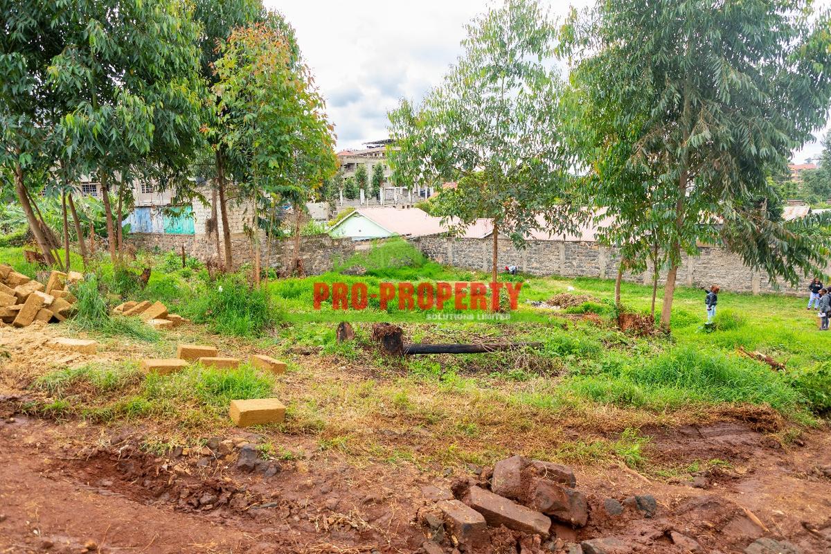 0.1 ha Commercial Land at Zambezi - 4