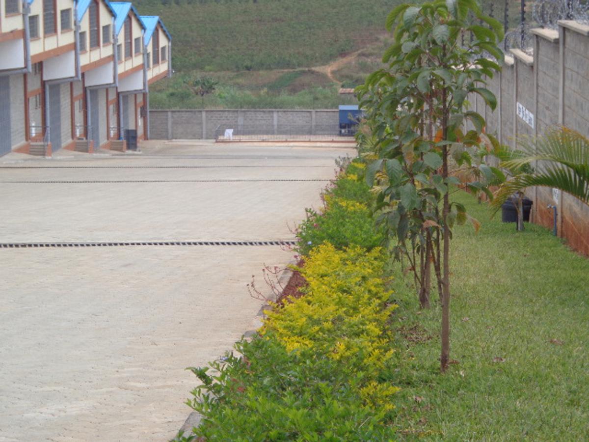 Warehouse with Service Charge Included in Juja - 8