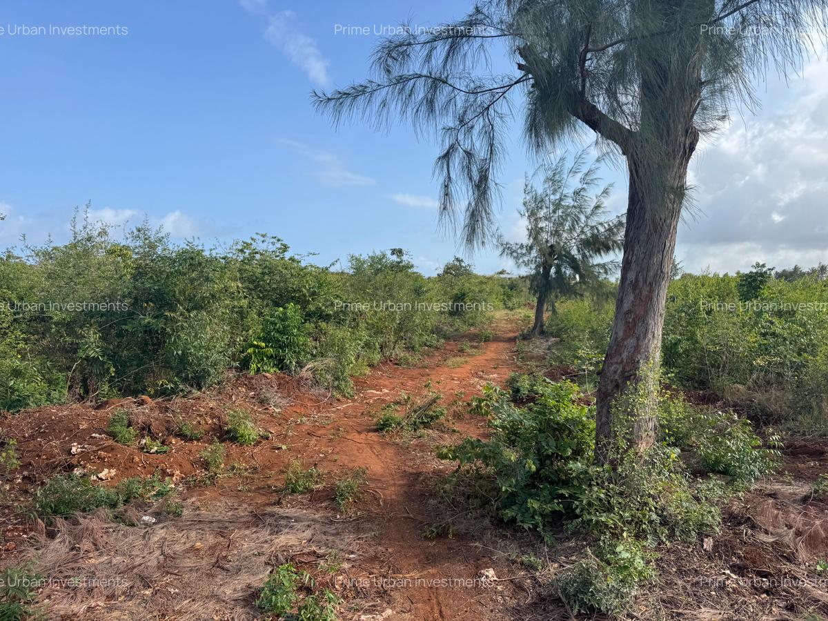 6 ac Land in Kilifi - 1