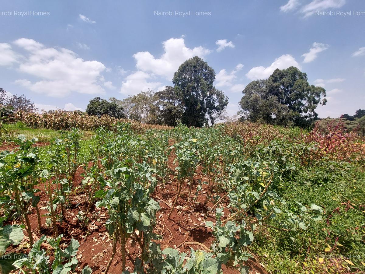 Residential Land at Kinanda Road - 10