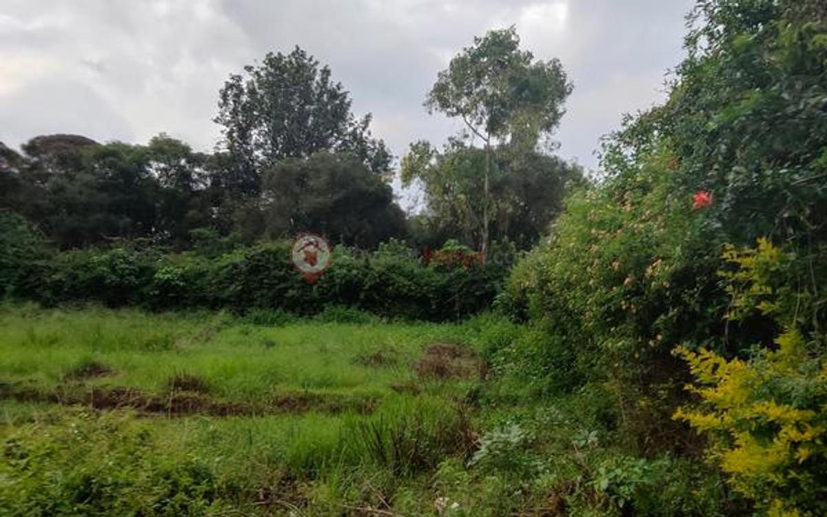 Land at Ndege Road - 11