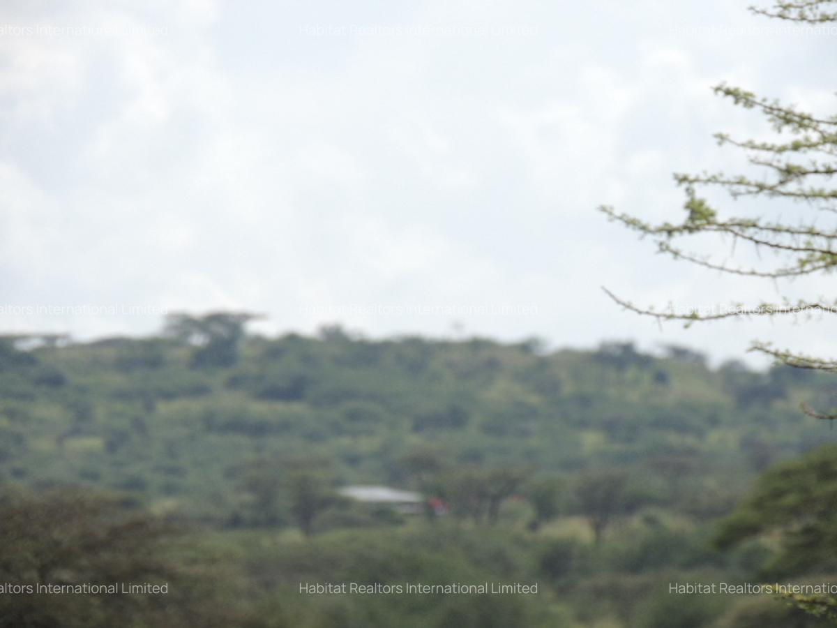 5 ac Land at Oloilalei - 9