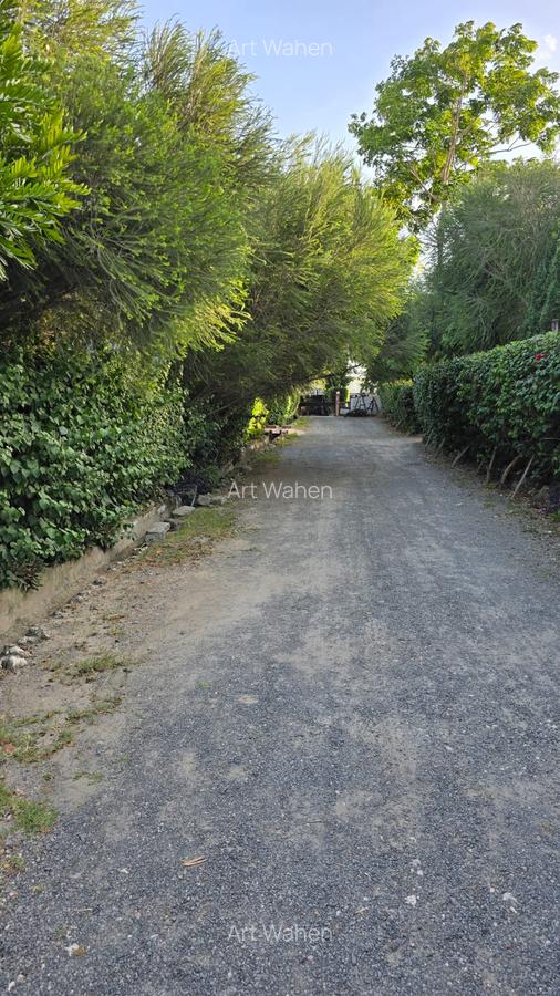 3 Bed House with En Suite at Milimani Area - 2