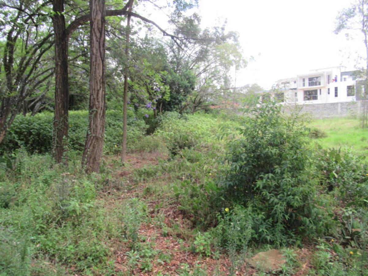 Land at Bogani Rd - 10