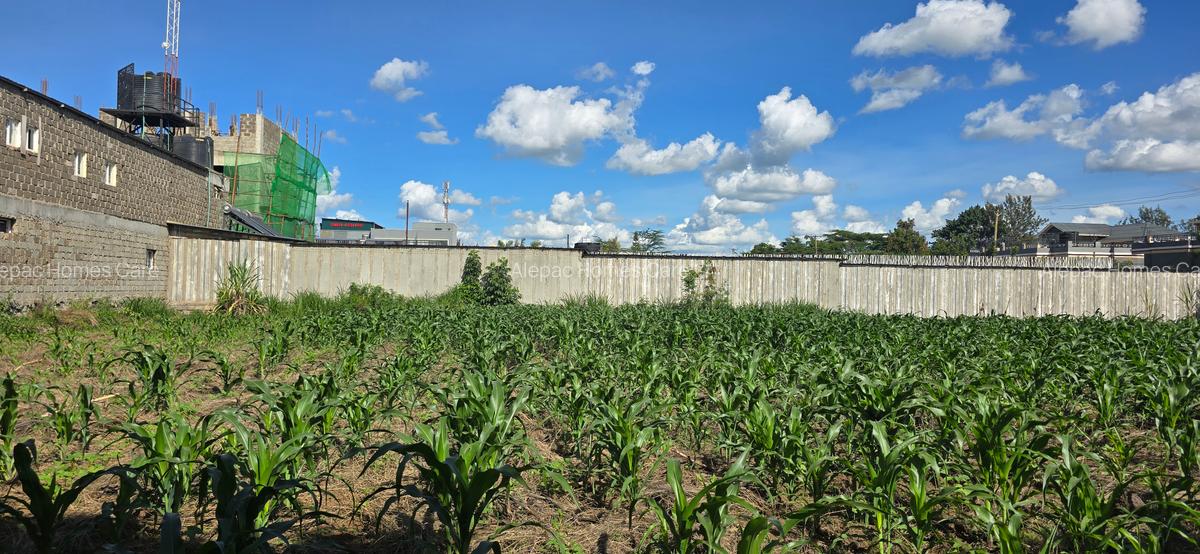 0.5 ac Land at Ruiru - 2