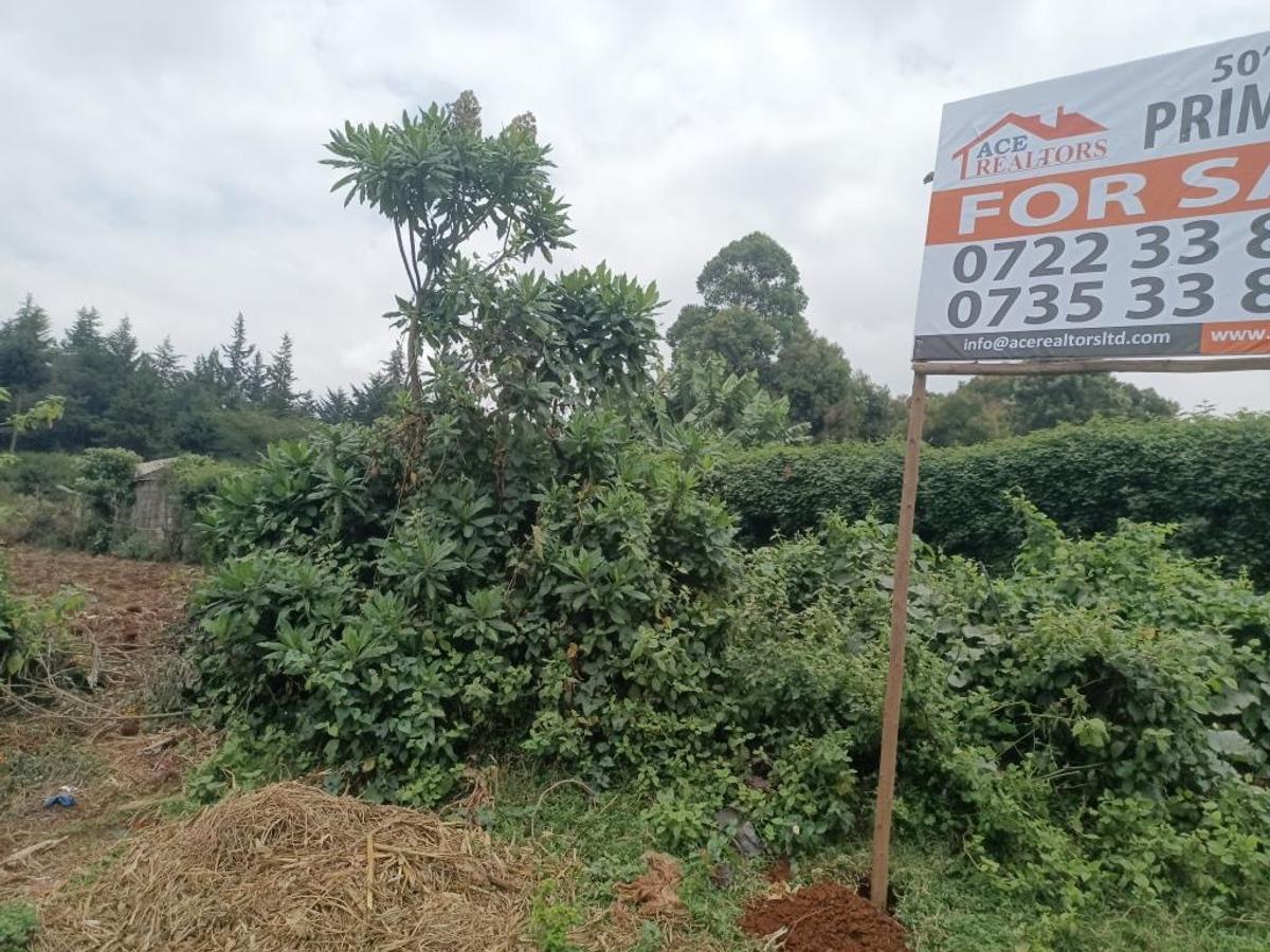 0.125 ac Commercial Land at Southern Bypass - 1