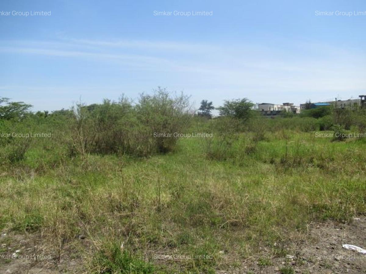 23,796 m² Commercial Land at Nyasa Road - 15