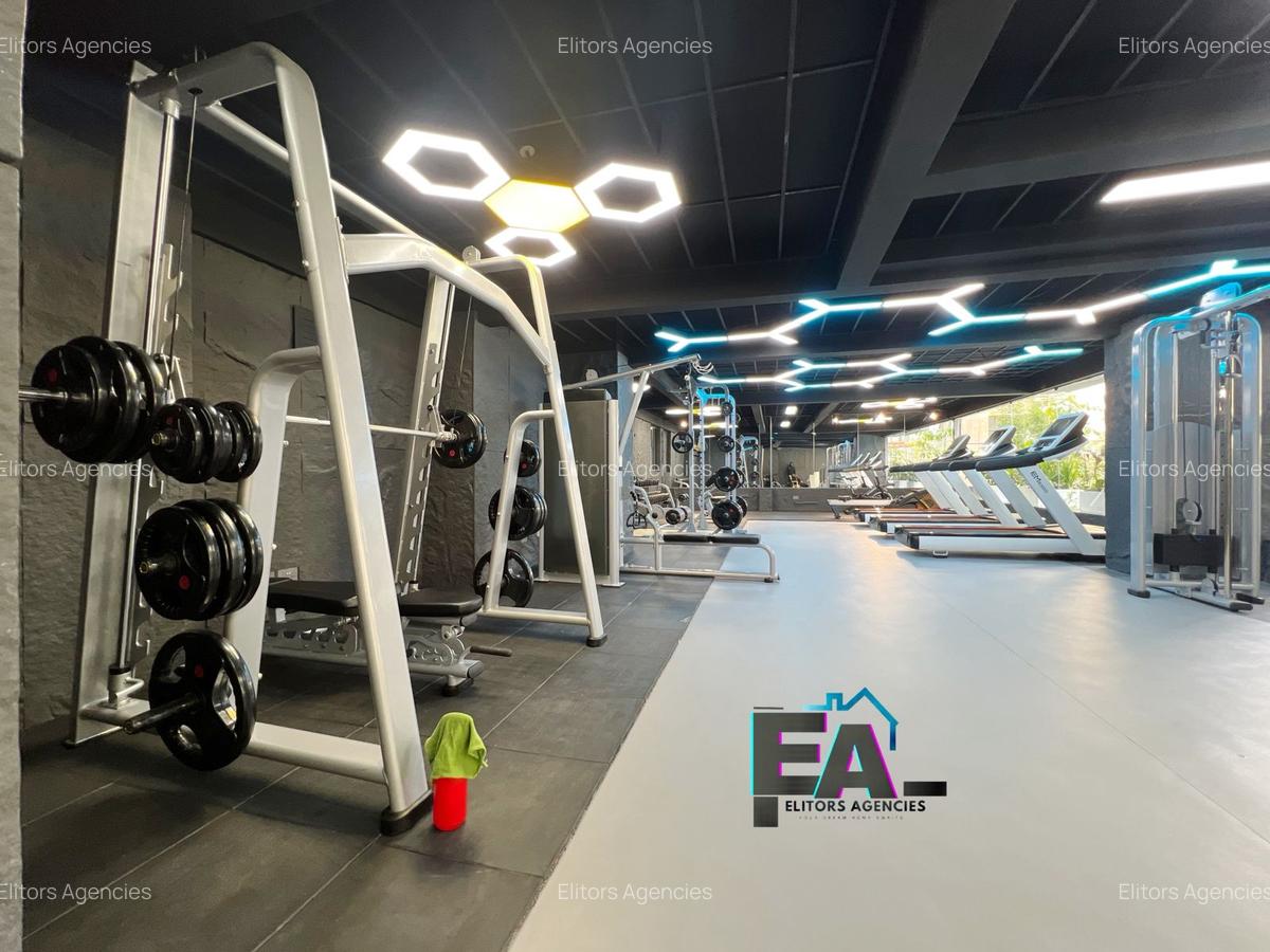 1 Bed Apartment with En Suite at Gitanga Road - 16