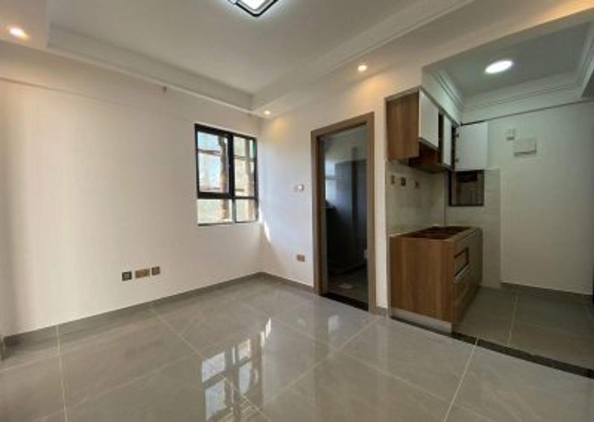 2 Bed Apartment with En Suite at Gitanga Road - 4