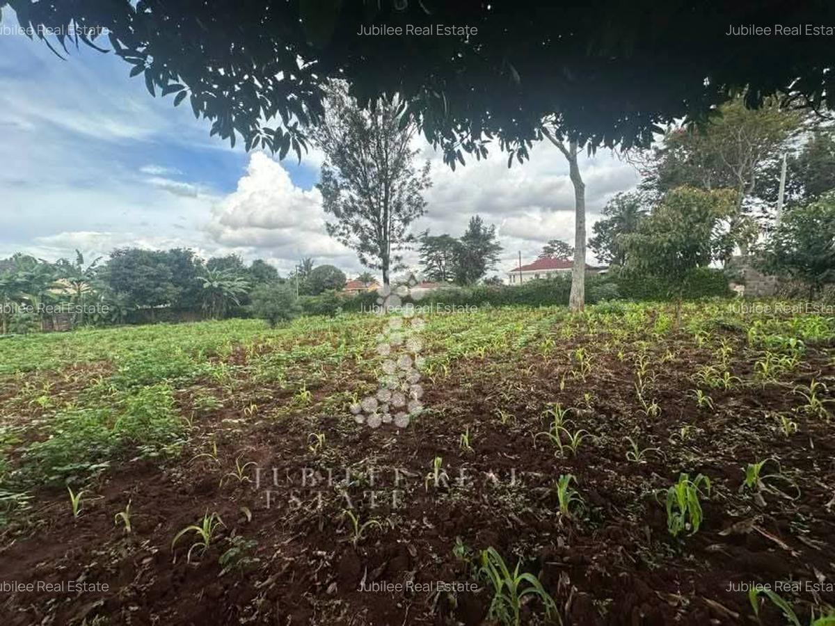 0.5 ac Land in Runda - 2