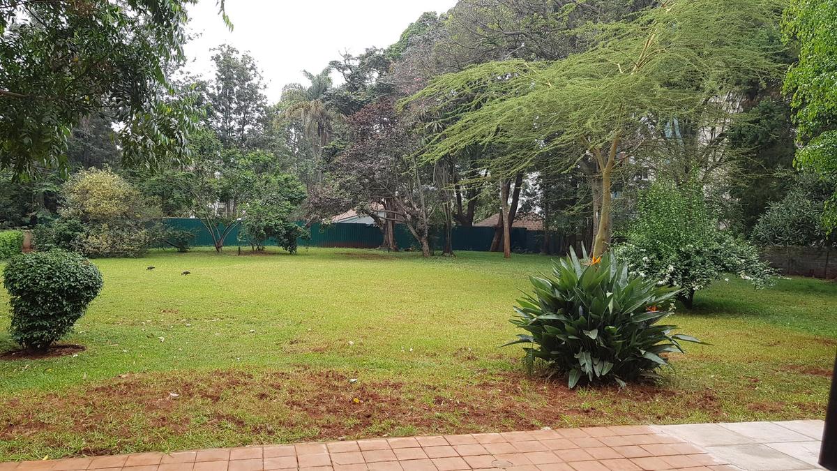 Office in Lavington - 2