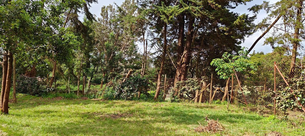 Commercial Property in Limuru - 7