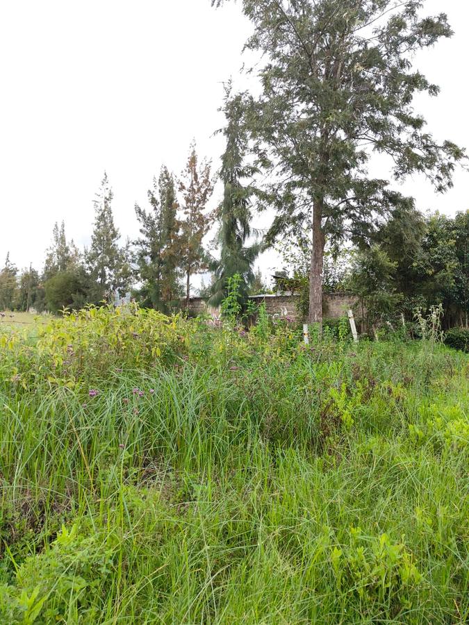 5 ac Land at Karen - 7