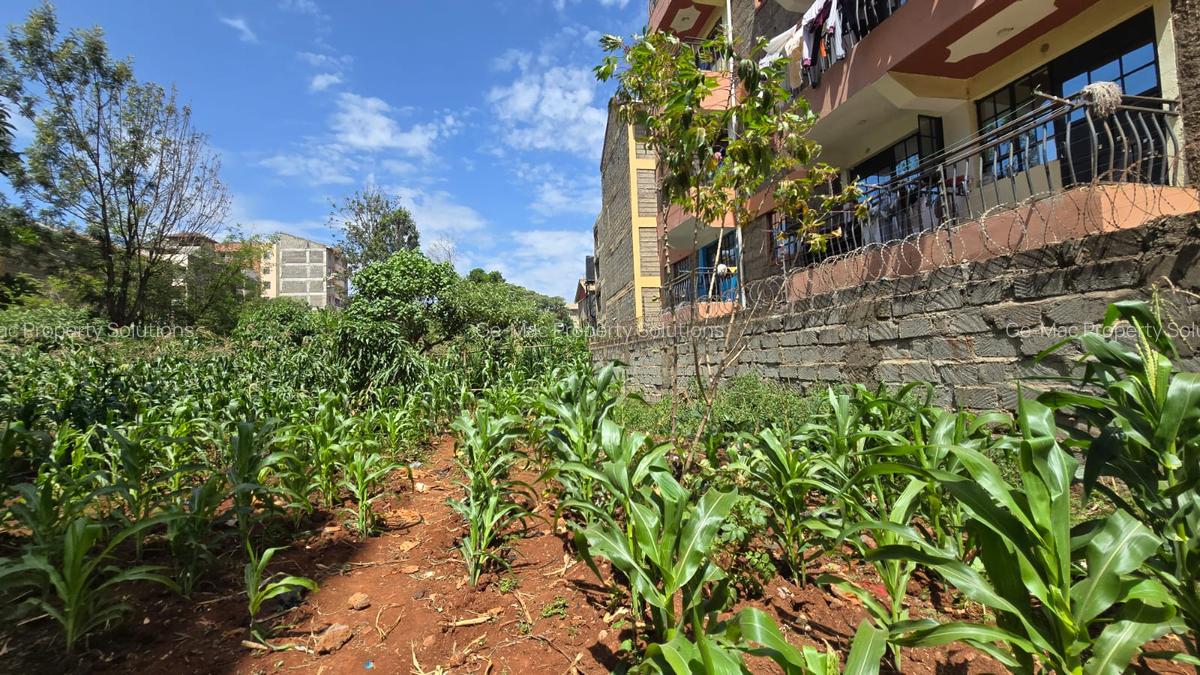 Commercial Land in Ruaka - 2