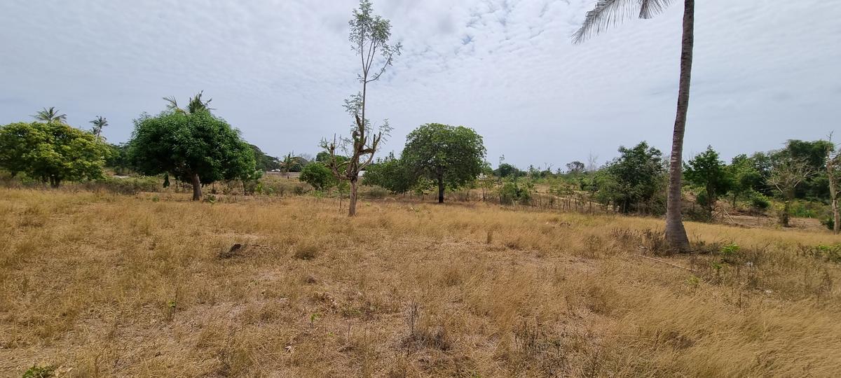 500 m² Land at Retreat - 3