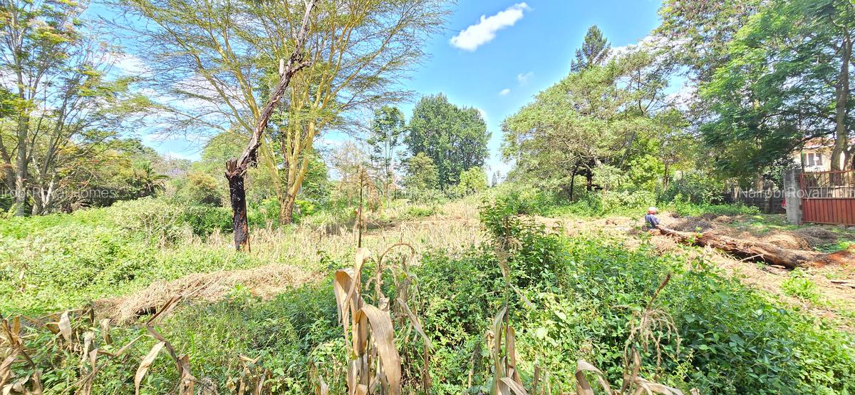 Residential Land at Shanzu Road - 15