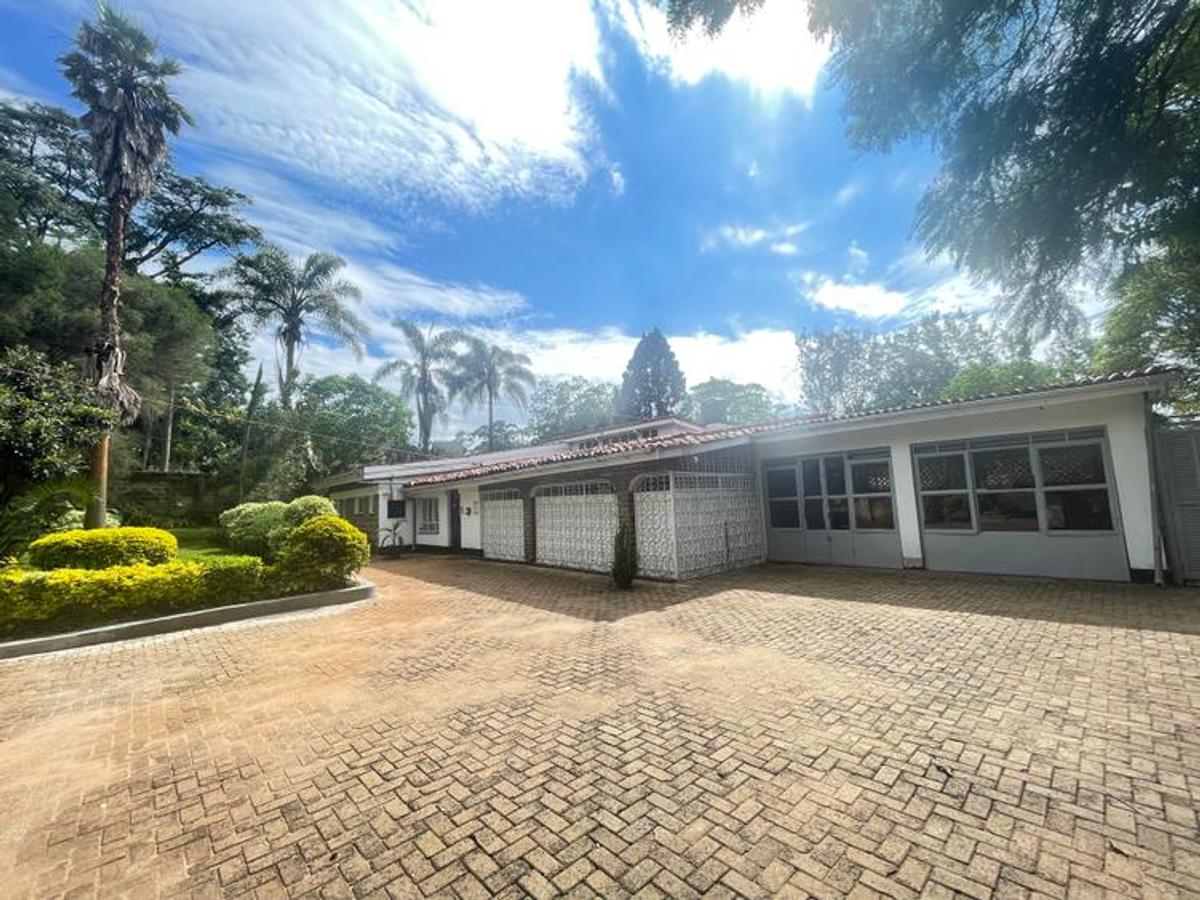 Commercial Property with Fibre Internet at Lavington - 1