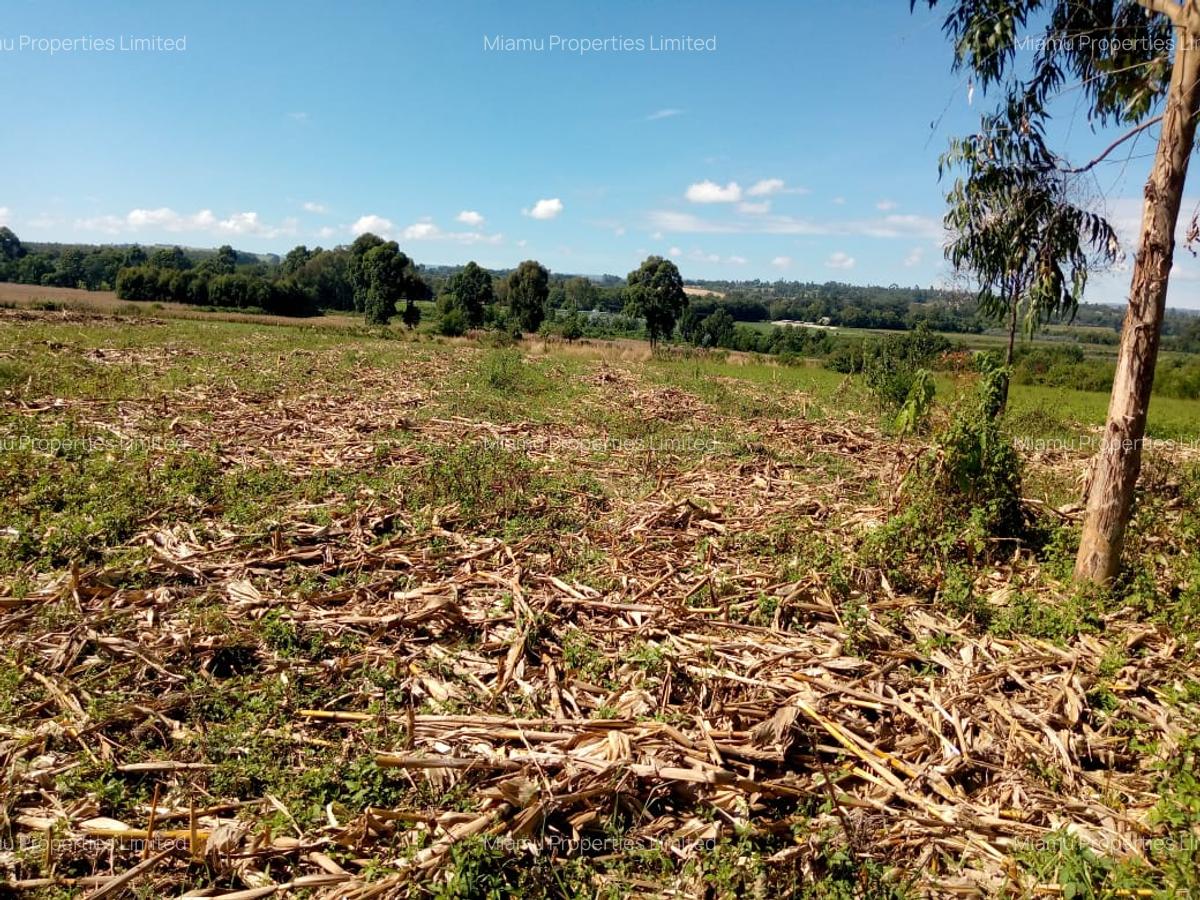 1 ac Land at Ngata - 2